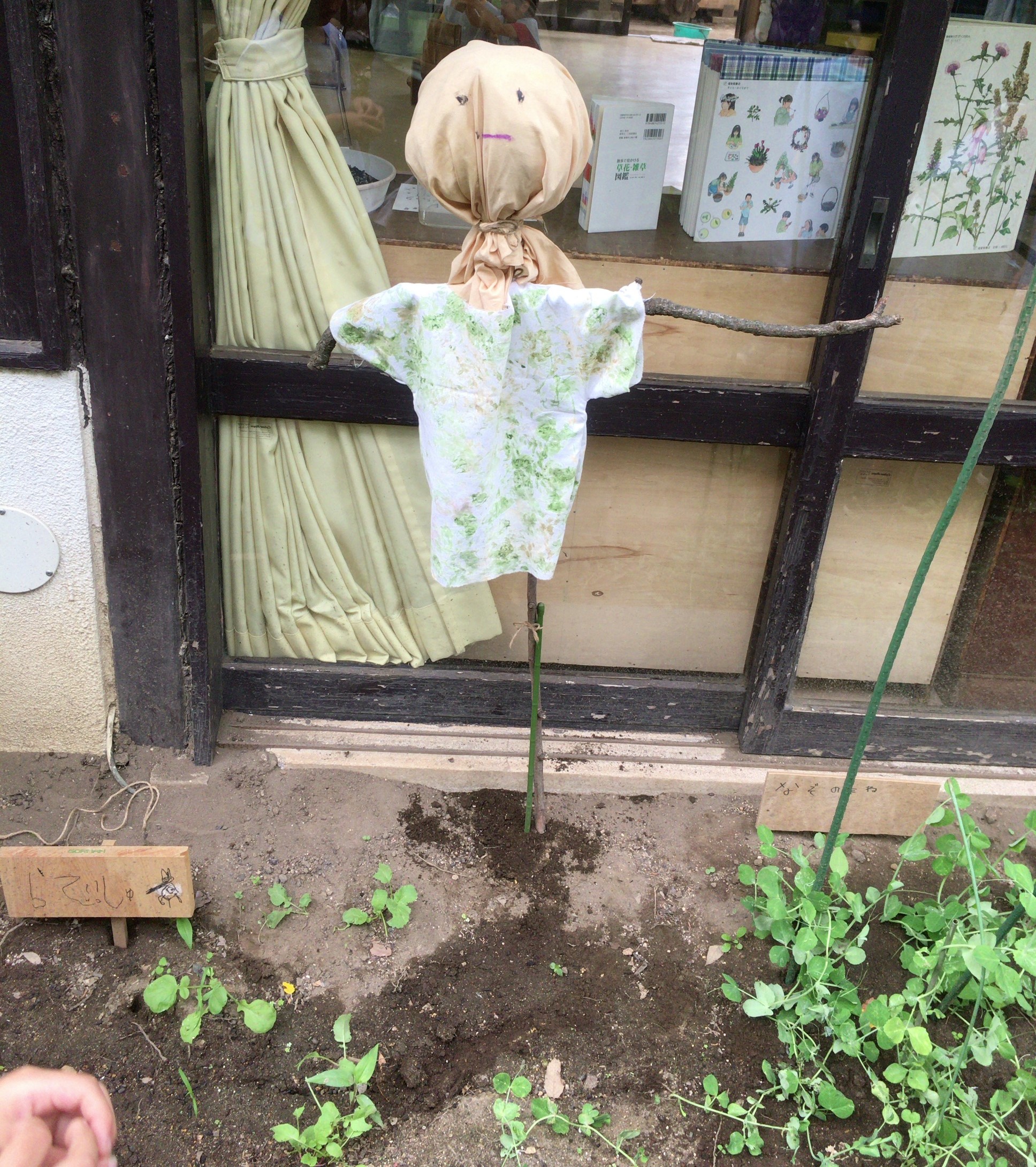 IMG-4316